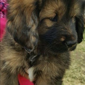 Meet your Posher, Christa